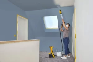 pistolas para pintar techos y protegerlos del exterior